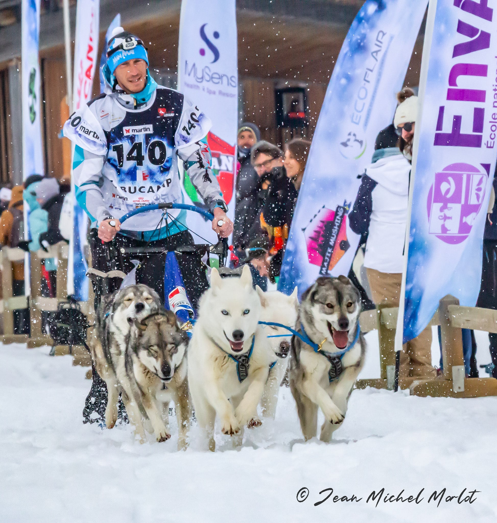 Les chiens peuvent-ils progresser en course à pied ?