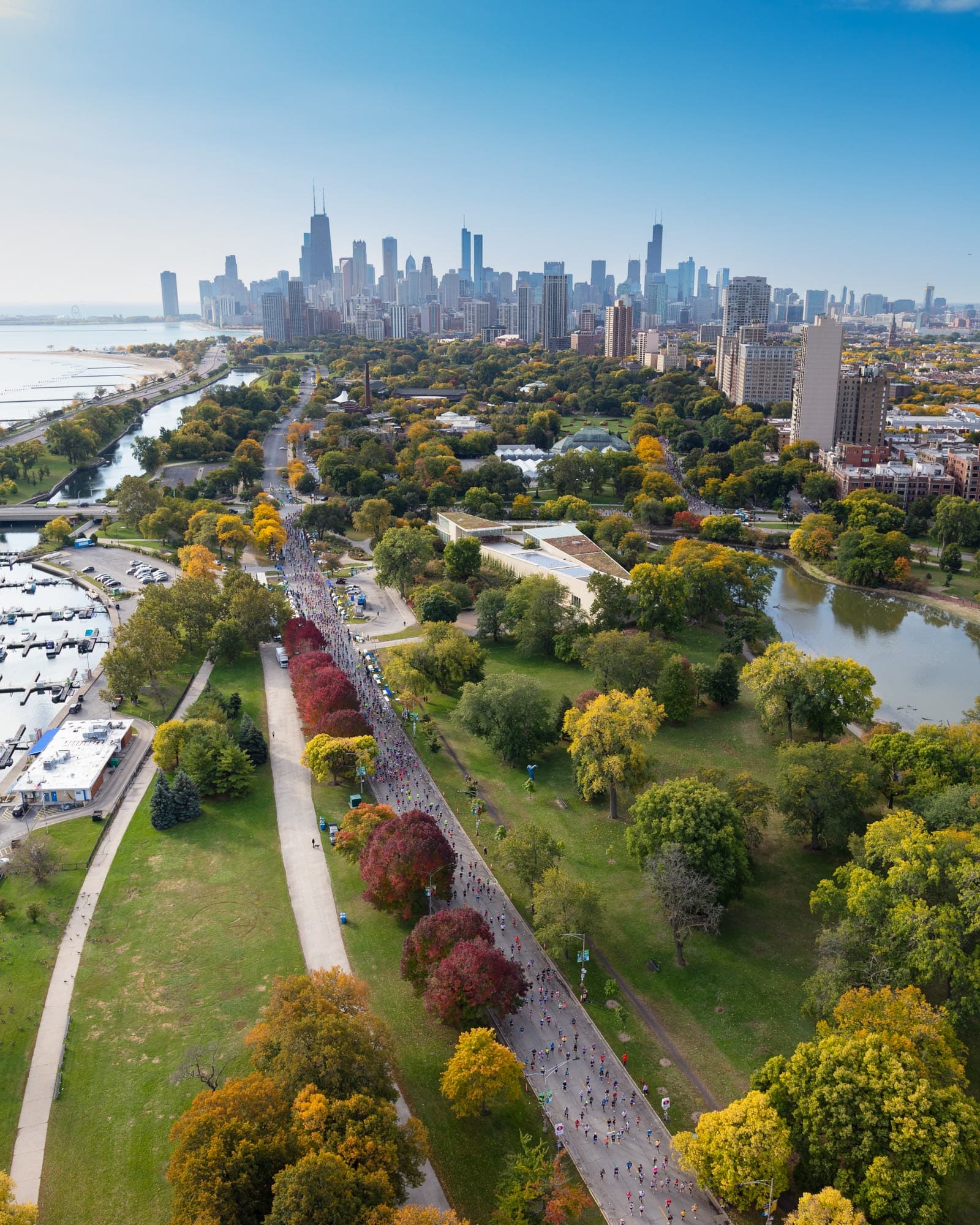 Marathon de Chicago 2024