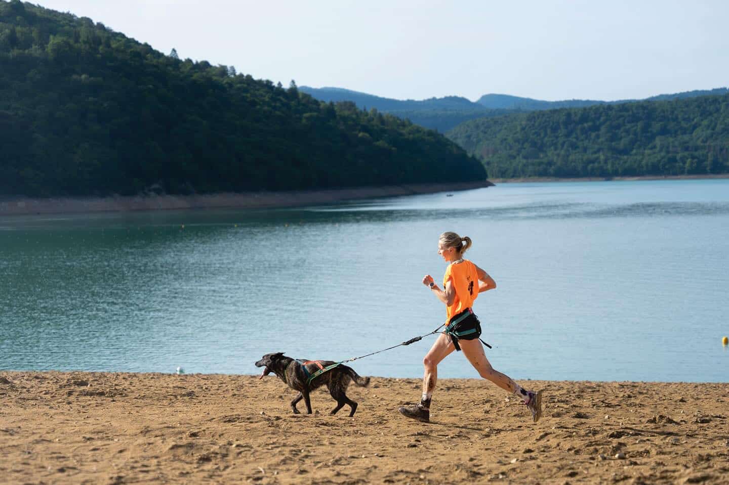 Courir avec un chien