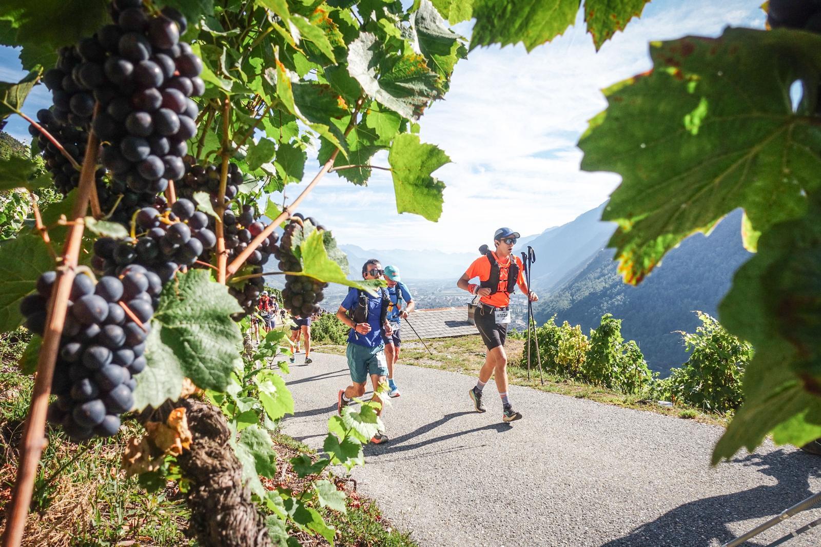 Le marathon en montagne d'Albert Courau