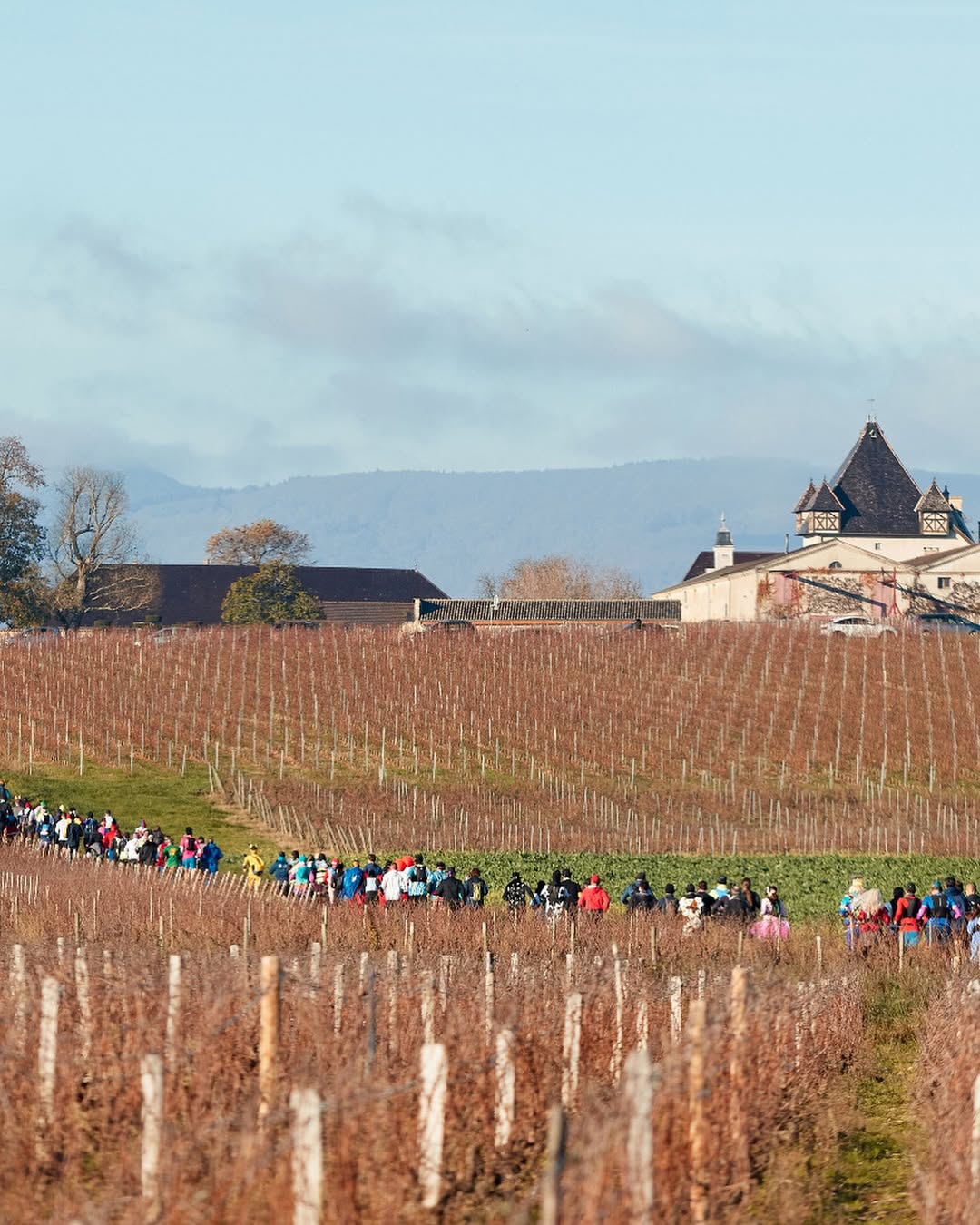 Marathon Du Beaujolais 2025 (13)