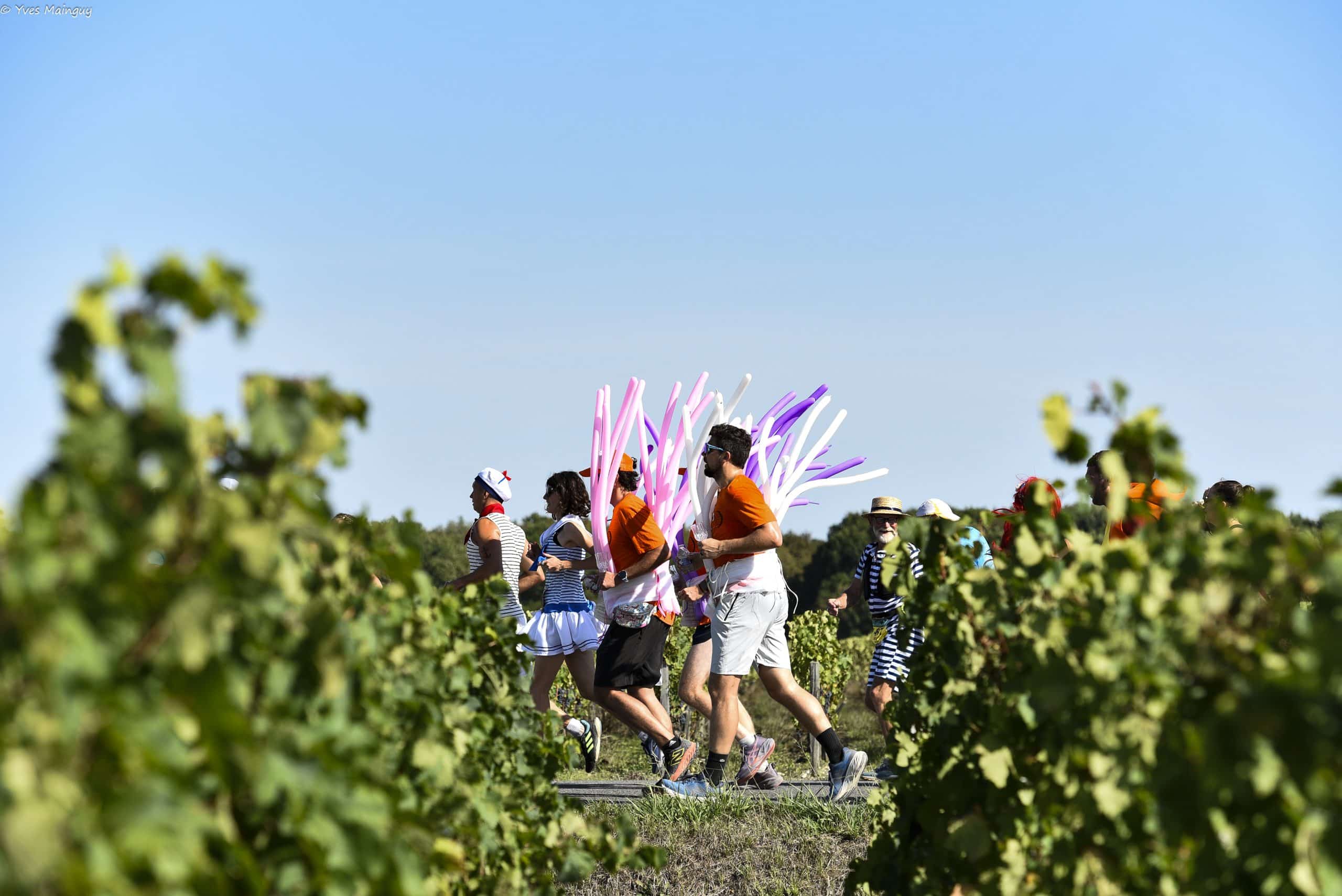 Marathon du Médoc : entre grands crus et performance, une édition mémorable