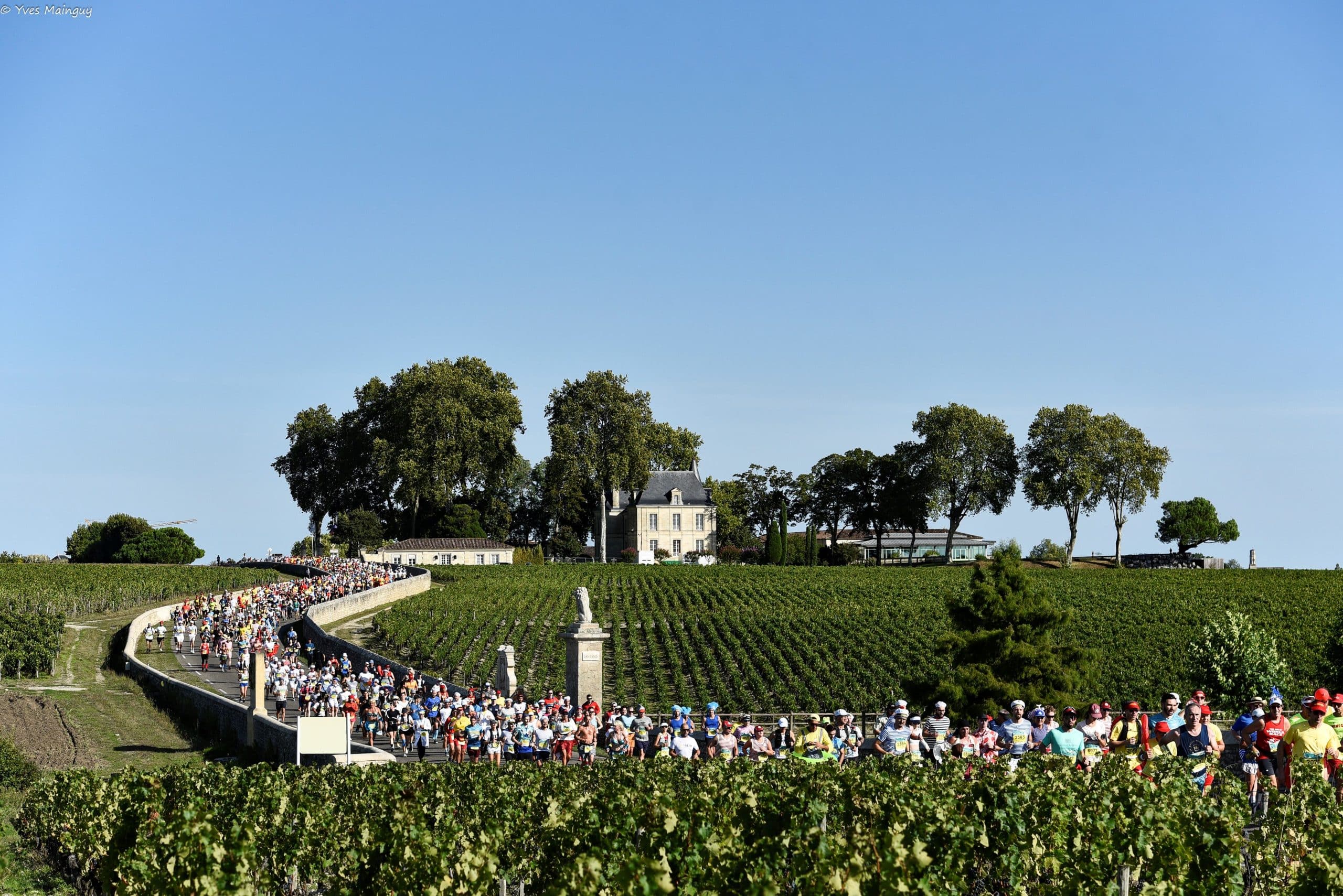 Marathon du Médoc : entre grands crus et performance, une édition mémorable