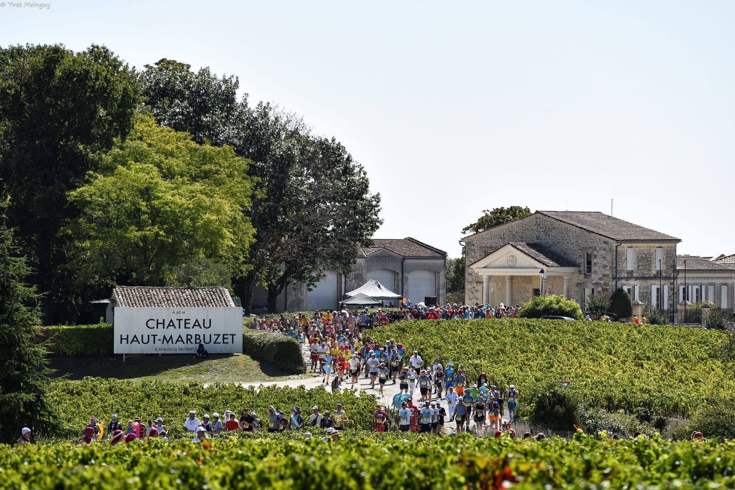 Marathon du Médoc : entre grands crus et performance, une édition mémorable