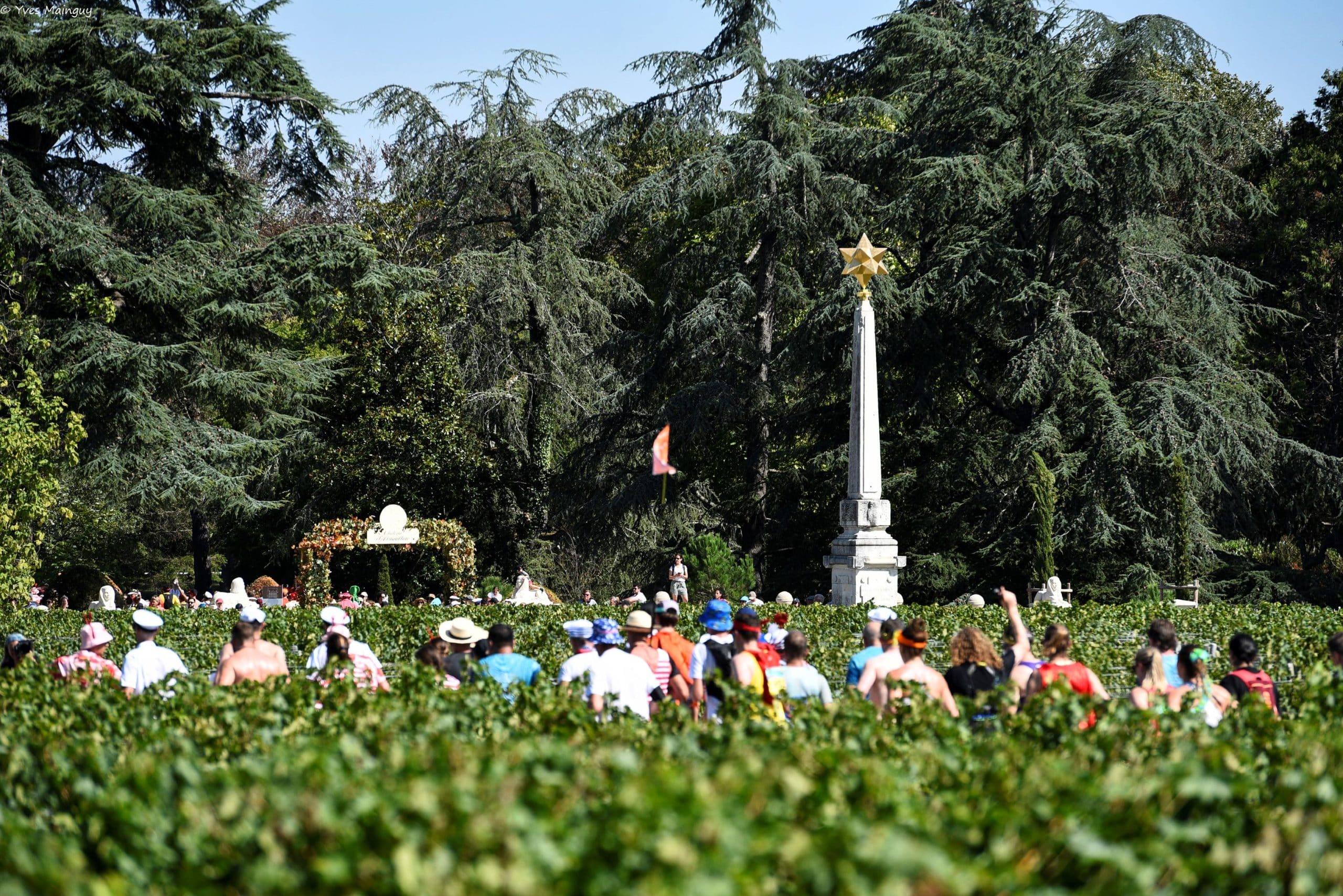 Marathon du Médoc : entre grands crus et performance, une édition mémorable