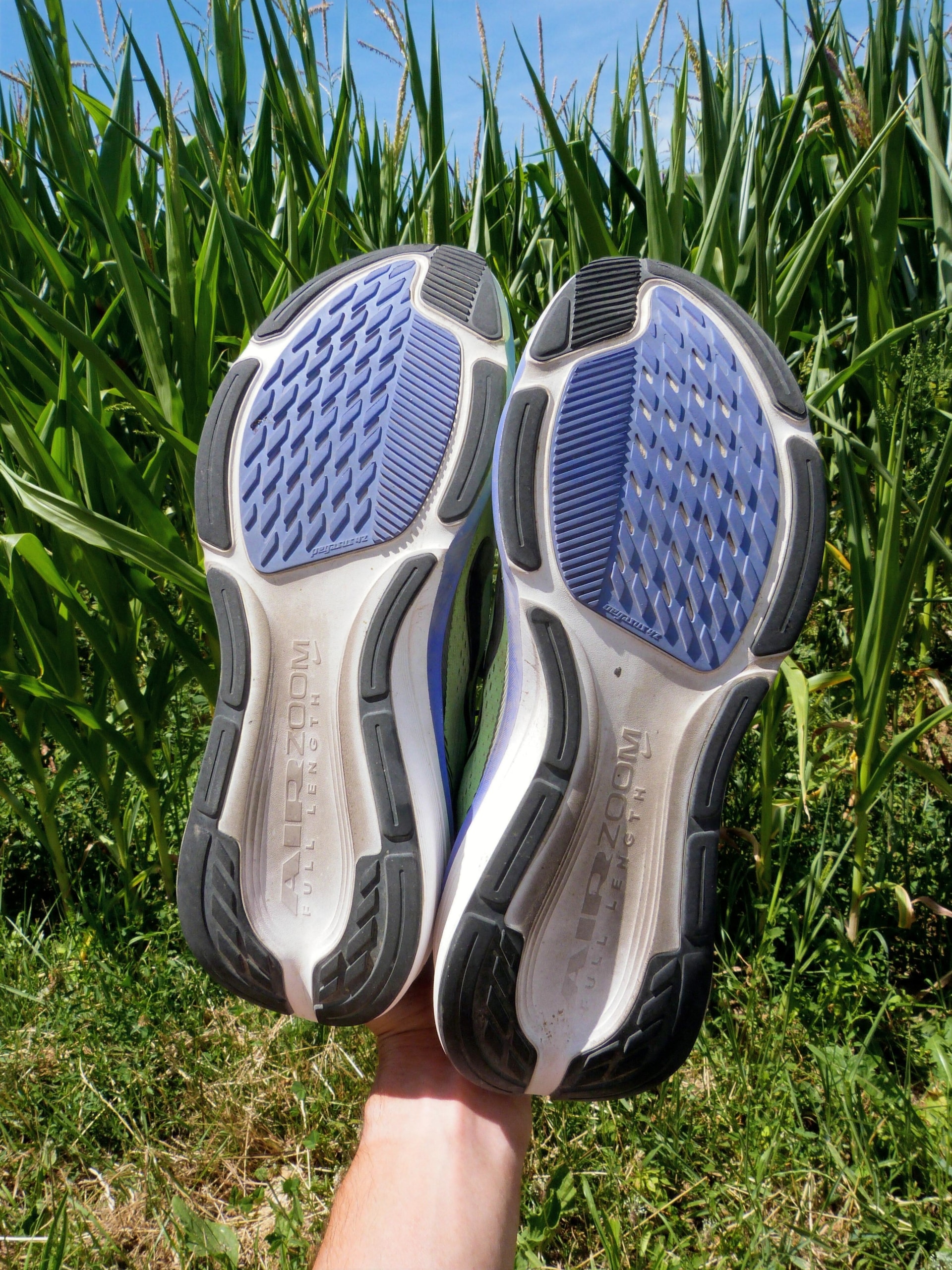 Test complet de la Nike Pegasus 42 après 100 km : confort, performance, poids, durabilité et comparaison avec la concurrence.