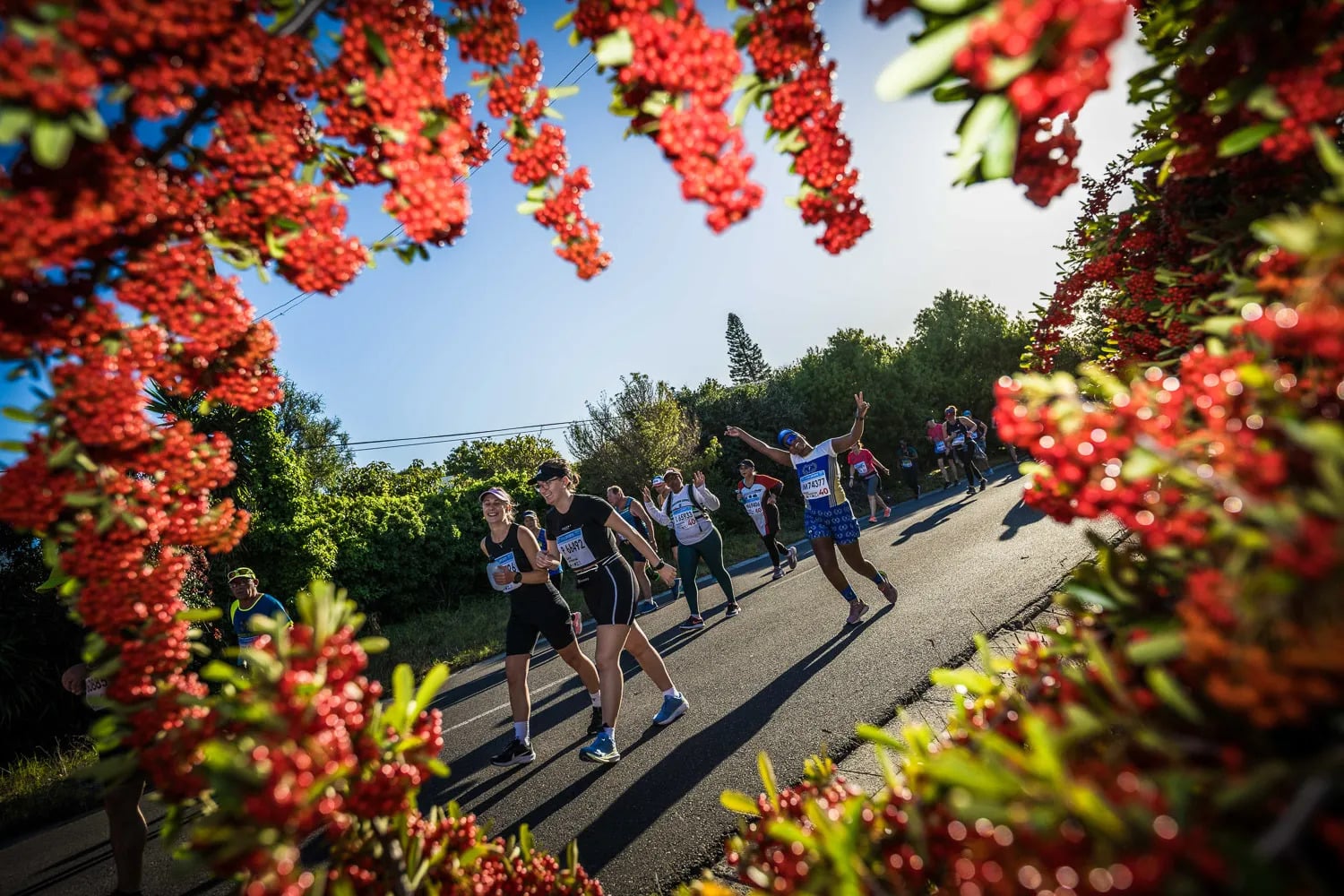 Loterie, temps qualificatifs... Tout savoir pour s'inscrire au Marathon Two Oceans à Cape Town, avec un ultra de 56 km et un semi-marathon.