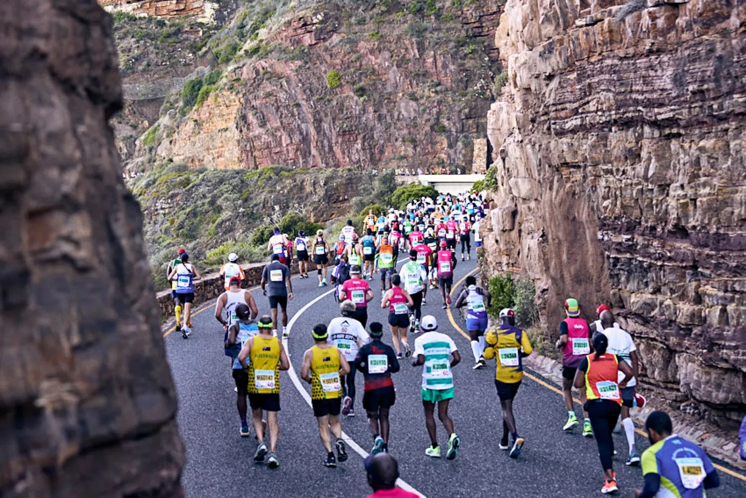 Loterie, temps qualificatifs... Tout savoir pour s'inscrire au Marathon Two Oceans à Cape Town, avec un ultra de 56 km et un semi-marathon.