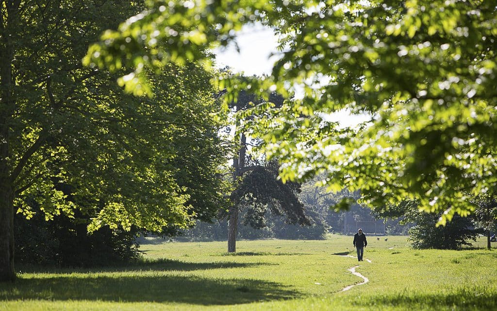 Paris semble hostile au running, mais regorge de pépites : bitume, sentiers boisés, spots secrets… À chacun son parcours dans la capitale.