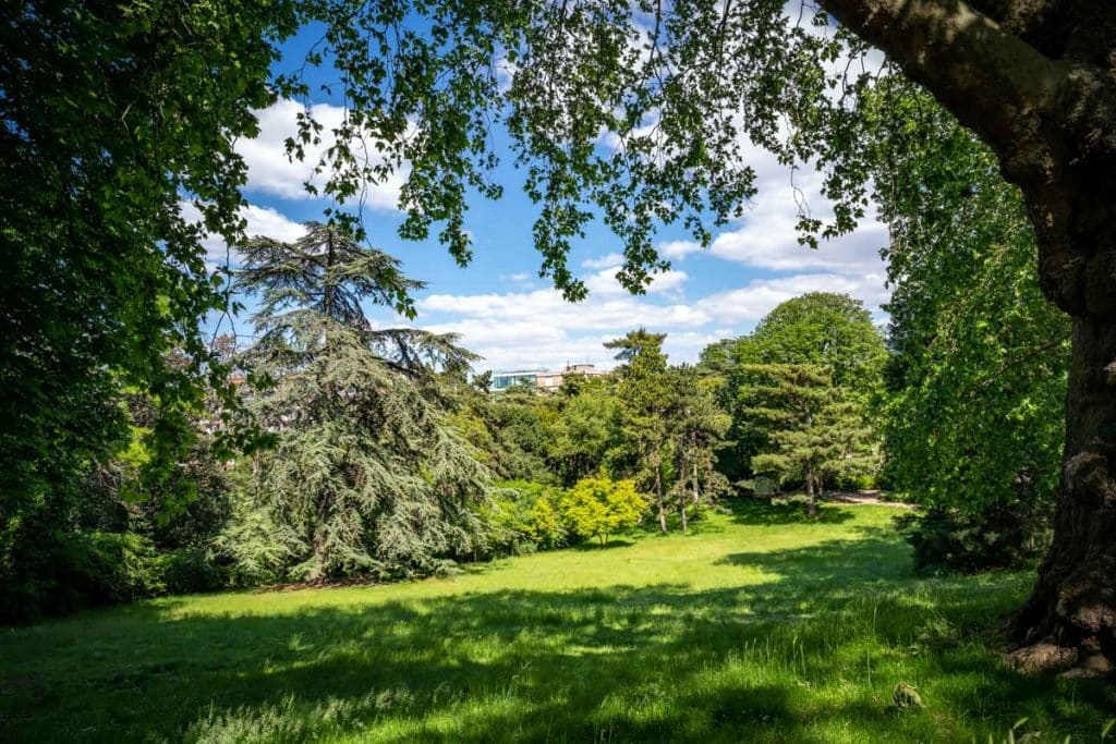 Paris semble hostile au running, mais regorge de pépites : bitume, sentiers boisés, spots secrets… À chacun son parcours dans la capitale.